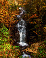 Pisgah National Forest 2859