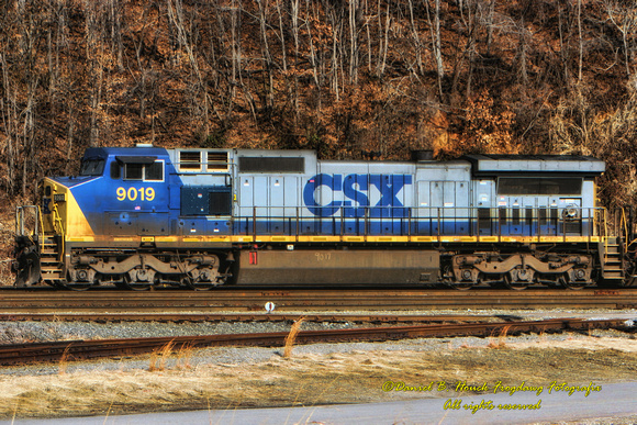 CSX 9019