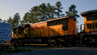 Candor Train 1709