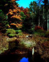 Flood Mud Fall 1428
