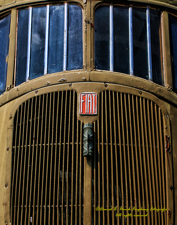 Fiat Rail Bus Detail