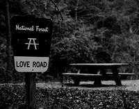 Love Road BW