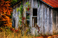 Colorful Shack 0456