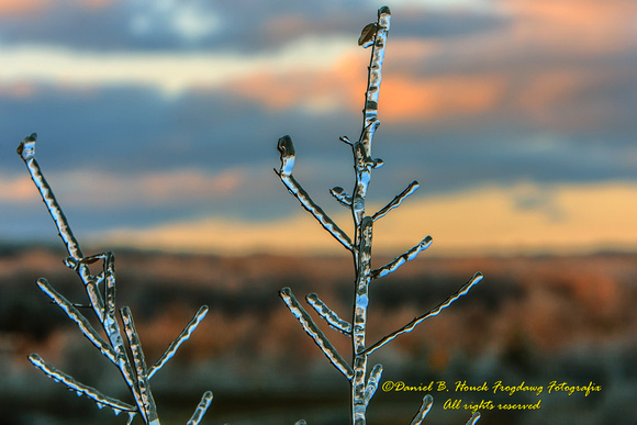 PA Ice Storm 9002