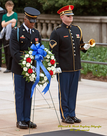Arlington 365